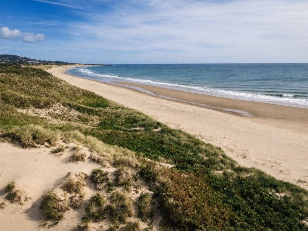 Illustration for Brittas Bay (South End).