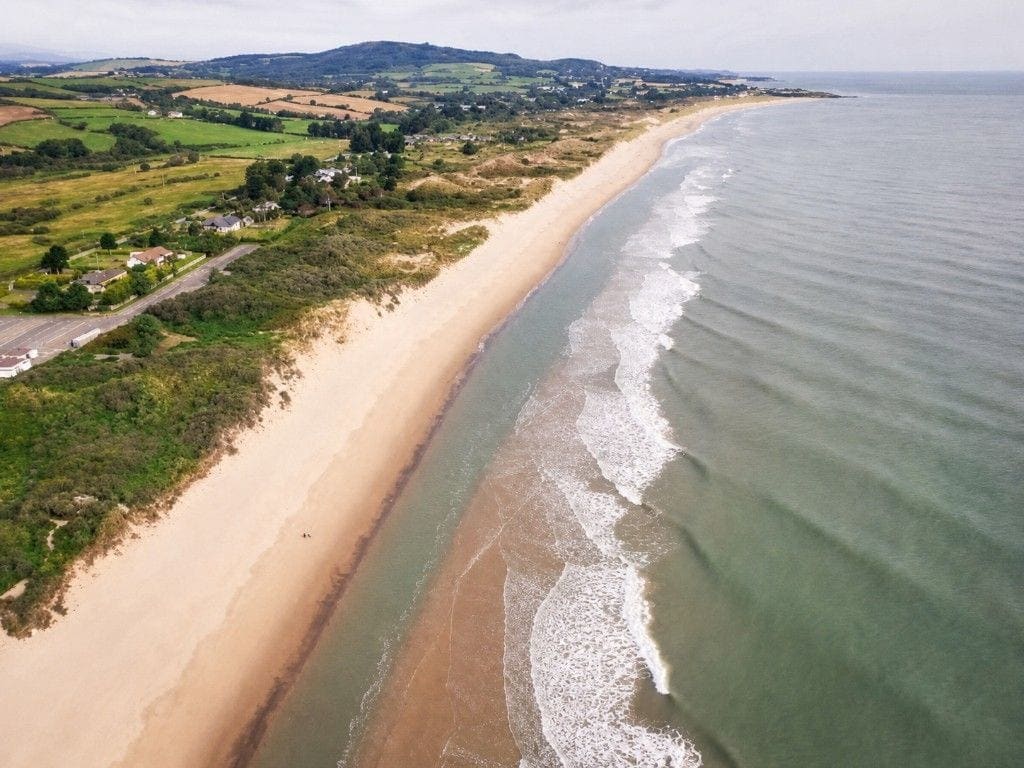 Illustration for Greystones South Beach from the air.