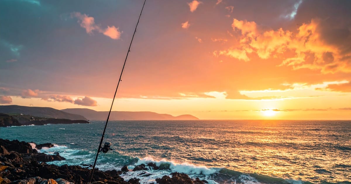 Wicklow Sea Fishing Guide 2026: Marks, Species, Seasons
